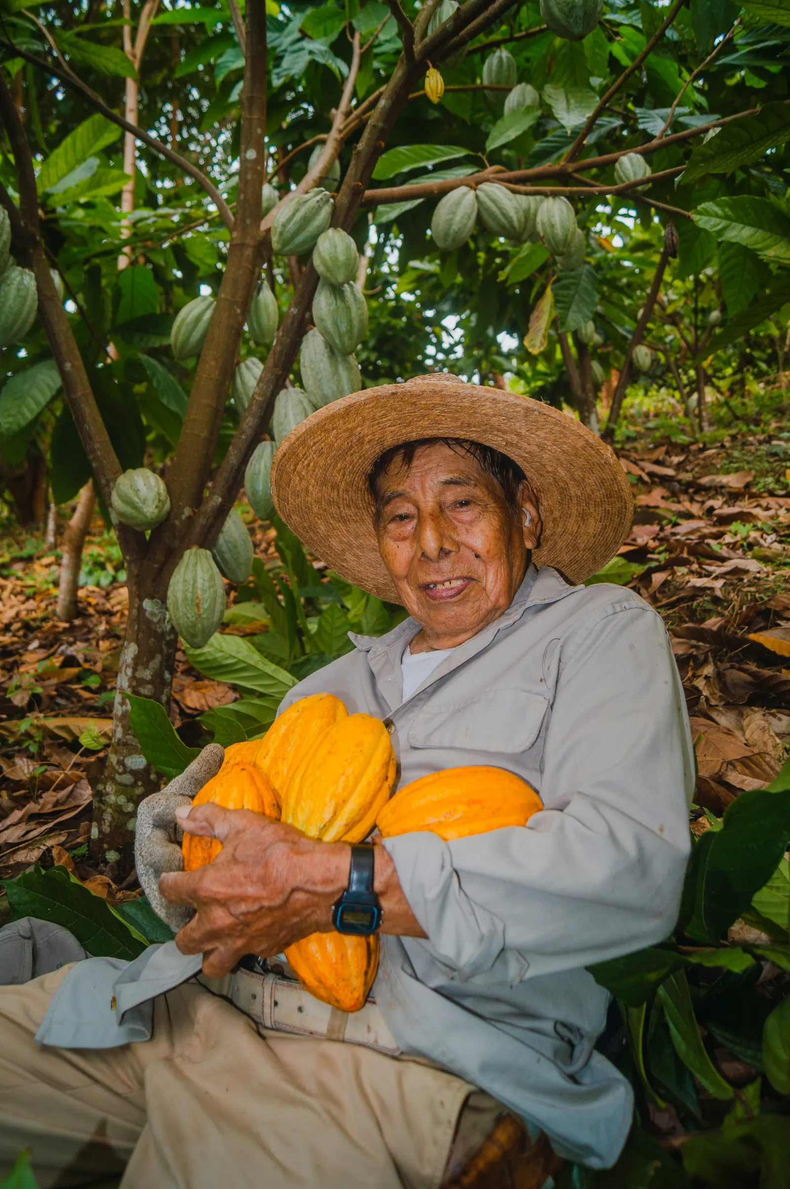 Agricultor sonriente con frutos recién cosechados
