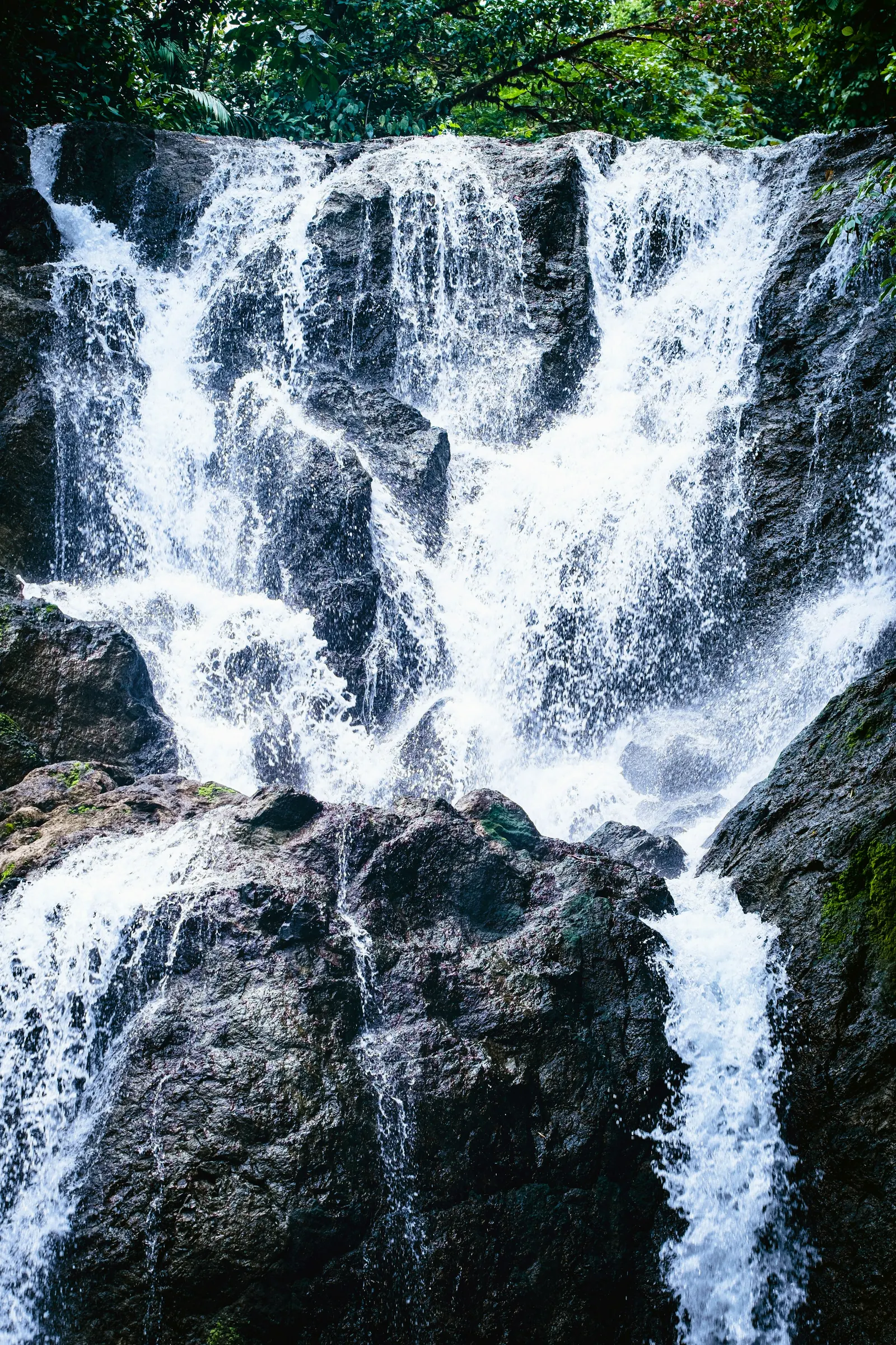 Cascada entre rocas y vegetación