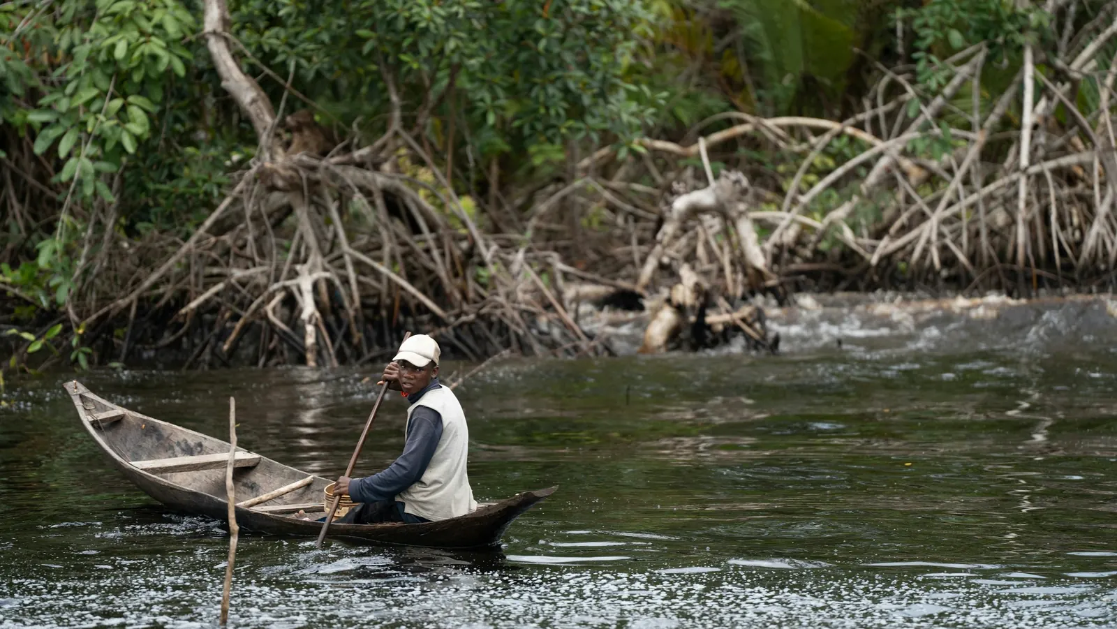 Pescador navegando en canoa entre manglares
